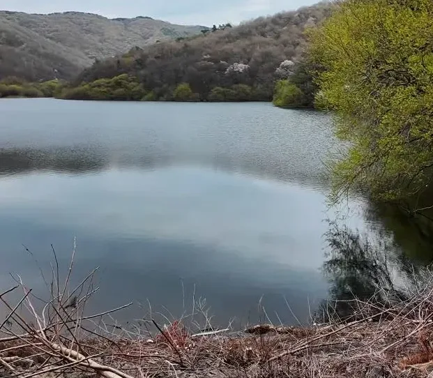 저수지 괴담과 지도 이미지