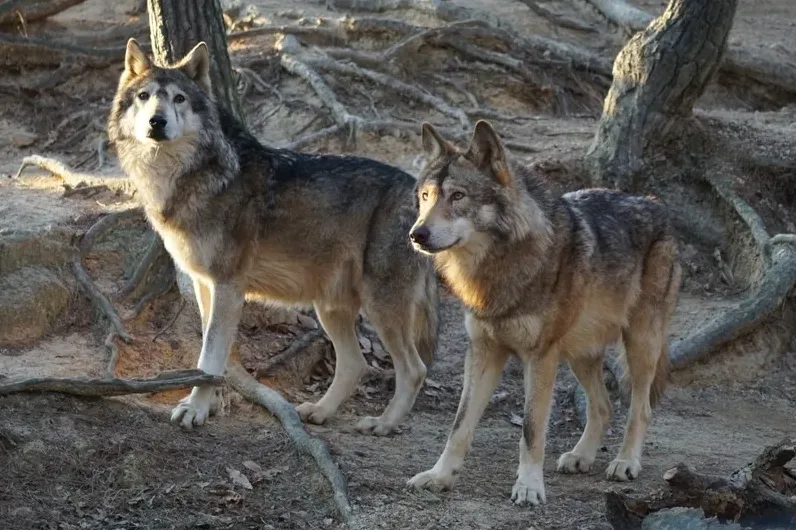 안전 수칙을 요약한 체크리스트