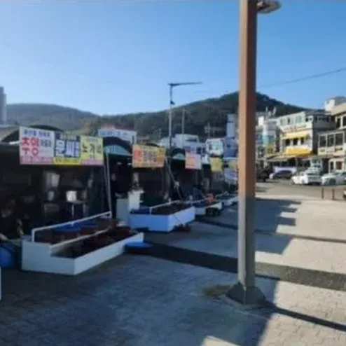 해산물 메뉴 가격 비교 느낌