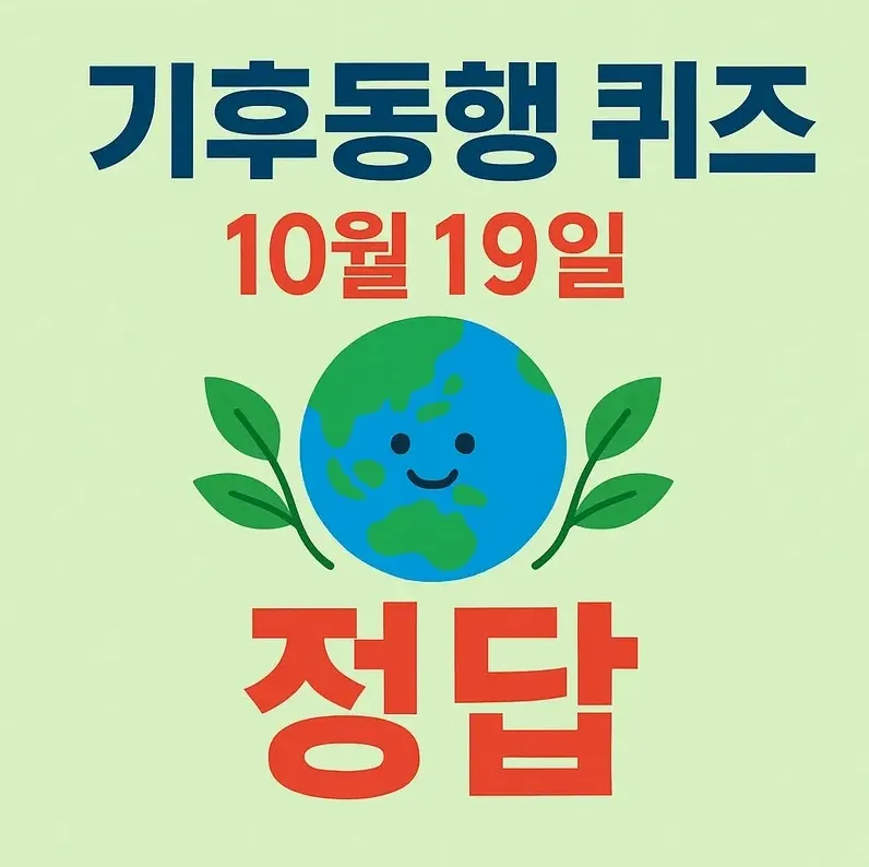 검색 결과를 확인하는 스마트폰 화면