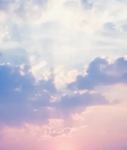 부드러운 감성 폰배경 마무리 이미지