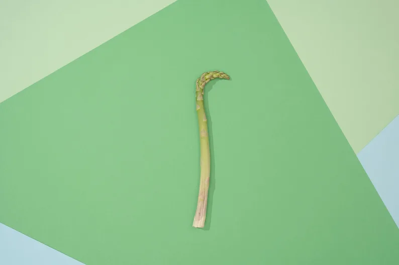취나물 무침 데치기부터 양념까지 실패 없는 레시피