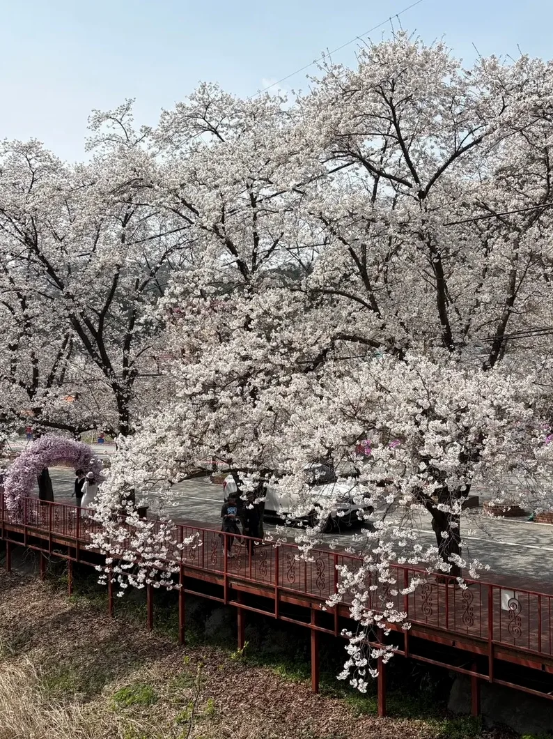 봄 축제 플리마켓 동선