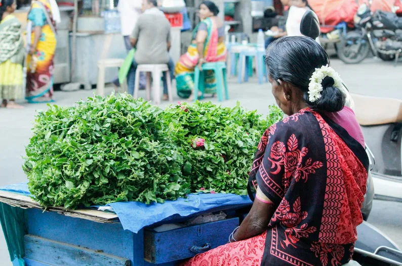 방풍나물 무침 된장으로 맛내는 봄나물 레시피 1 봄철 야채가게에 진열된 신선한 방풍나물