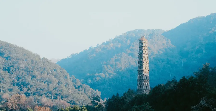 석탑과 겹벚꽃의 조화