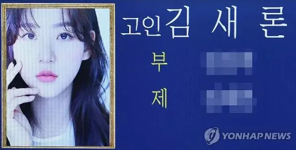 사냥개들 김새론 분량 논란과 하차 정리 6 핵심 정리 체크리스트 이미지