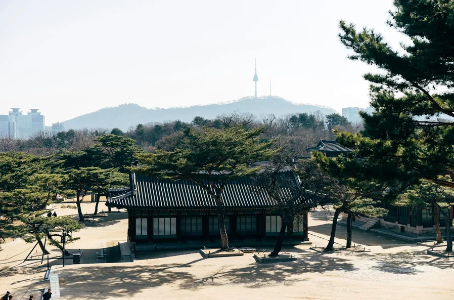 남산 벚꽃 하늘숲길 코스와 주차 팁 9 남산타워 일몰 전경