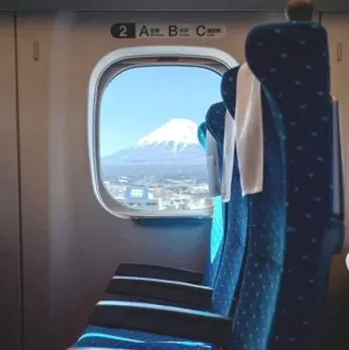 도쿄 역 혼잡한 출발 장면