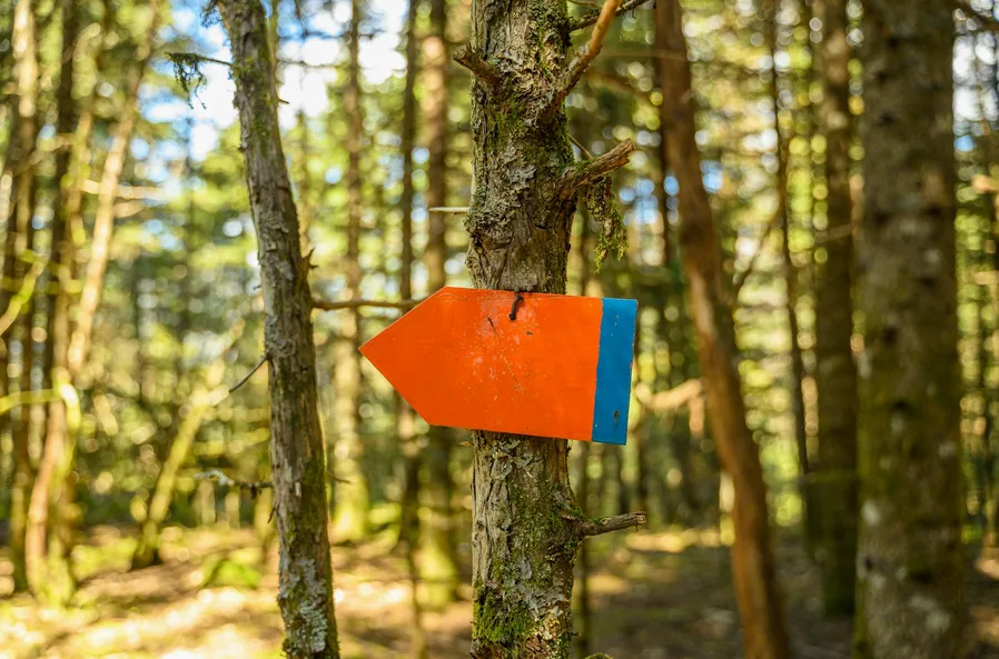 남산 벚꽃 하늘숲길 코스와 주차 팁 4 이정표 안내판