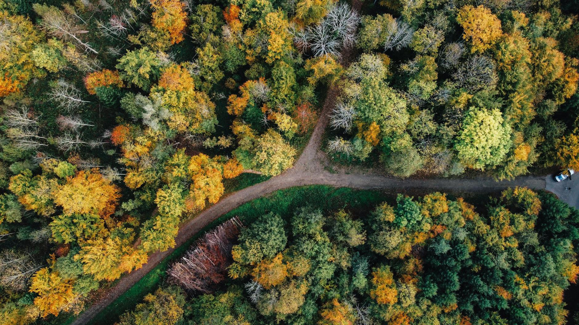 MC32B7388CF 노트북 선택 가이드 2026년 입문자용 성능 가격 기준 5 구매 결정을 위한 두 갈래 길