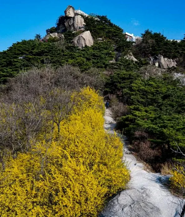 도심 공원 주변 주차와 도보 이동