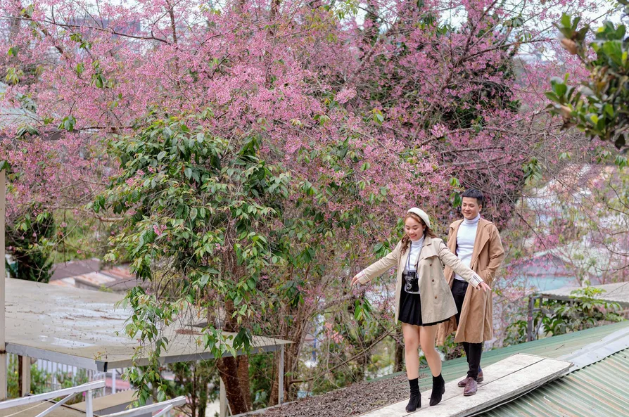 발렌티노로 본 고현정의 50대 핑크 공항룩 7 발렌티노로 본 고현정의 50대 핑크 공항룩