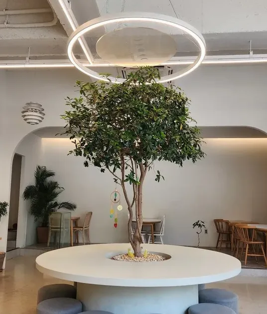 바닐라 크림 라떼 클로즈업