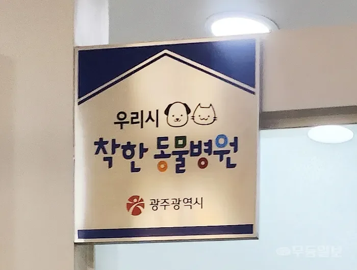 반려동물 건강검진 체크리스트 메모