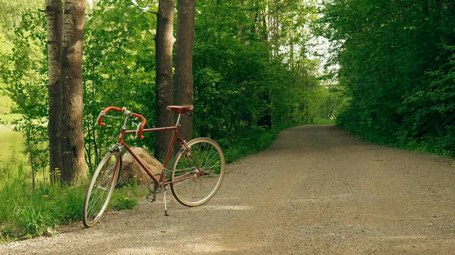 골목의 소소한 소품을 활용한 샷