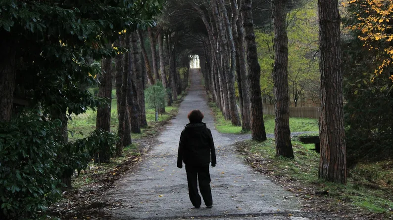 경주 겹벚꽃 불국사와 선덕여왕길 개화 시기 정리 4 경주 선덕여왕길 산책 분위기