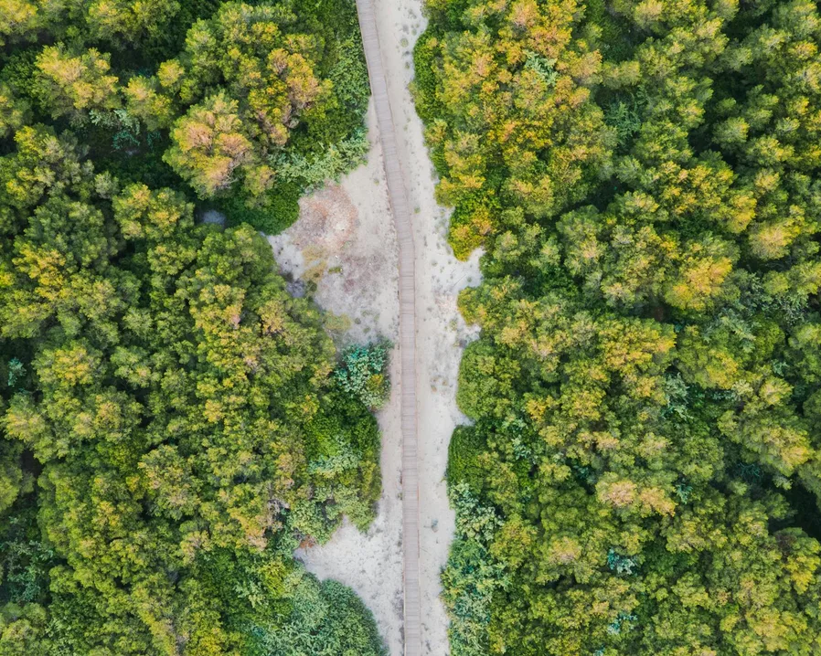 꽃길 항공 사진