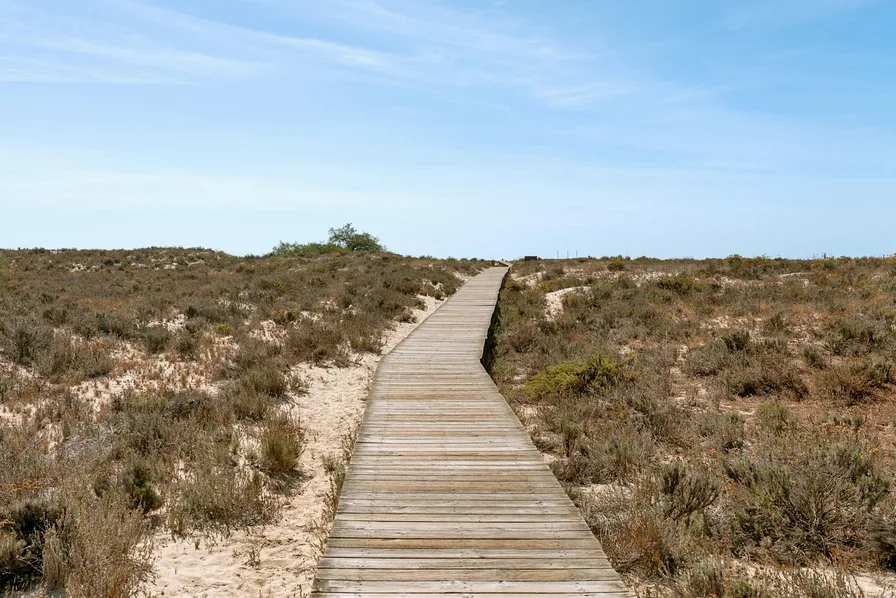 한우목장 데크 길 전경