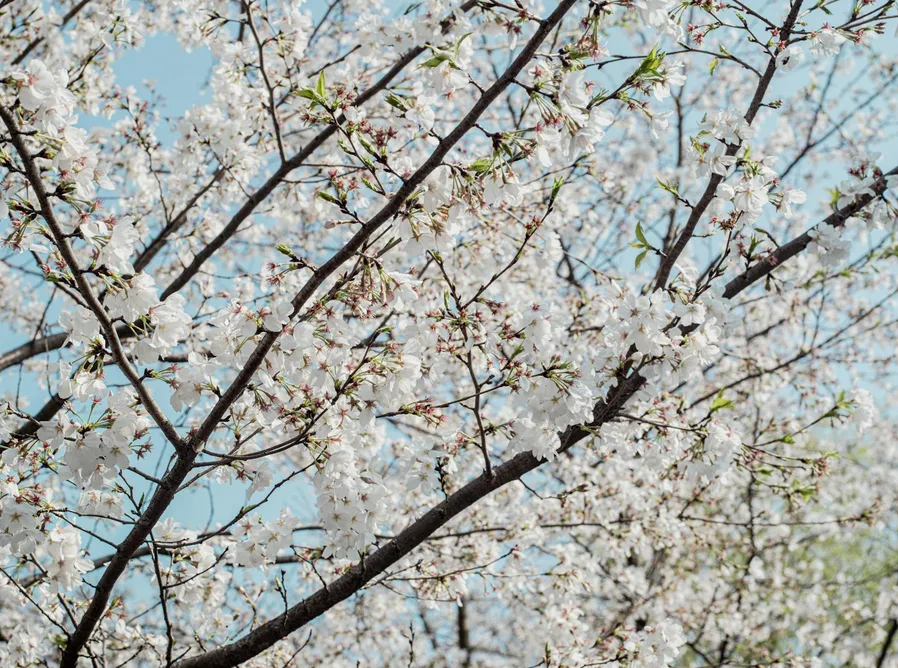 마비노기 모바일 19