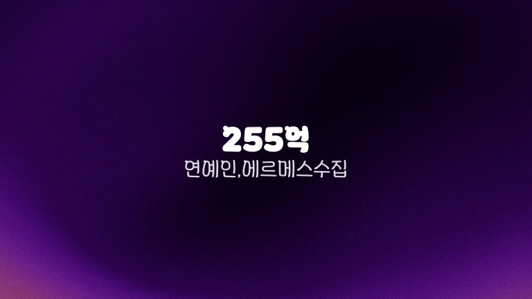 255억 연예인, 에르메스 수집
