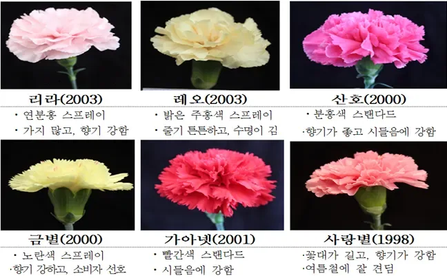 마비노기 15