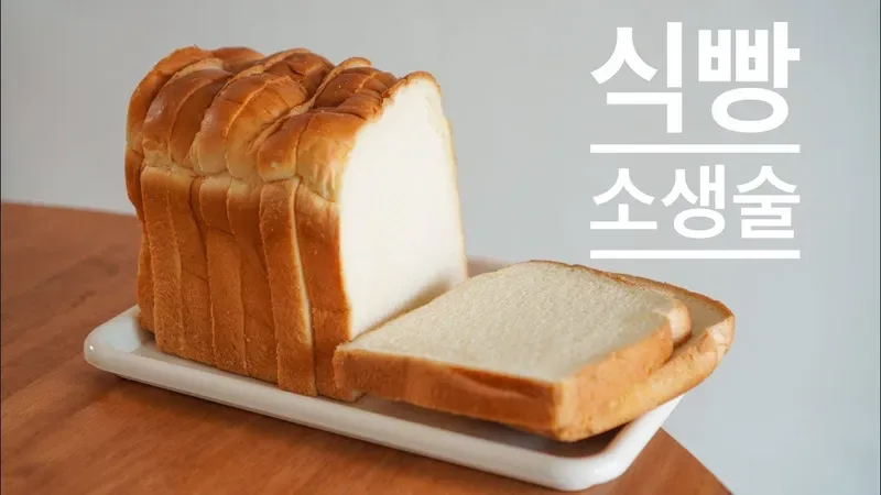 이루리의 밥풀빵로그 인기글 모음 반려동물 정보 한눈에 정리 2 반려동물 용품과 생활 정보 정리