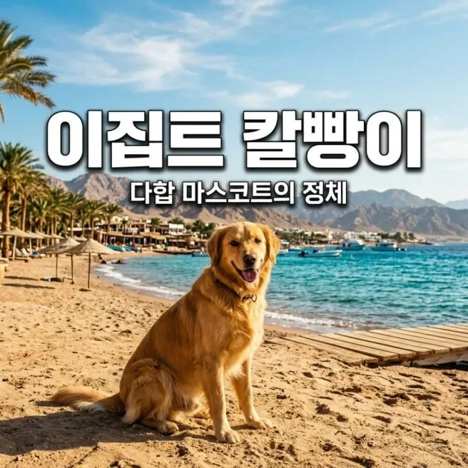 이집트 칼빵이 정체는? 다합에서 만나는 법과 에티켓 정리 6 이집트 칼빵이 정체는? 다합에서 만나는 법과 에티켓 정리