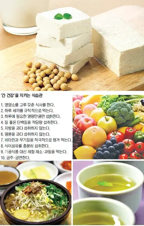 건강식 식사량과 균형