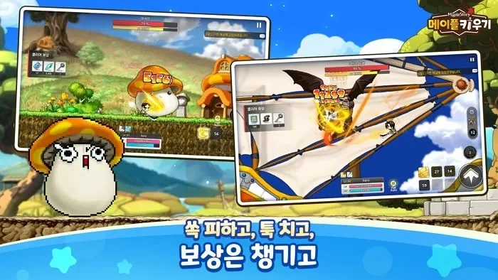 메이플키우기 쿠폰 모음과 입력 방법 한눈에 정리