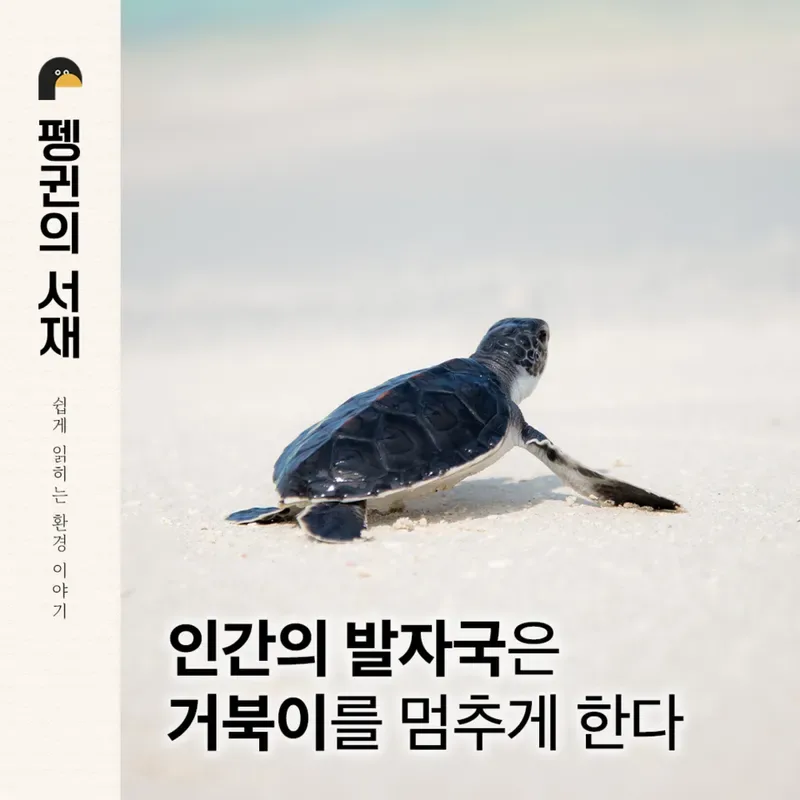 단서가 적힌 추리 보드