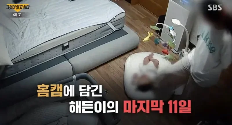 여수 해든이 사건 전말과 홈캠 진실 정리