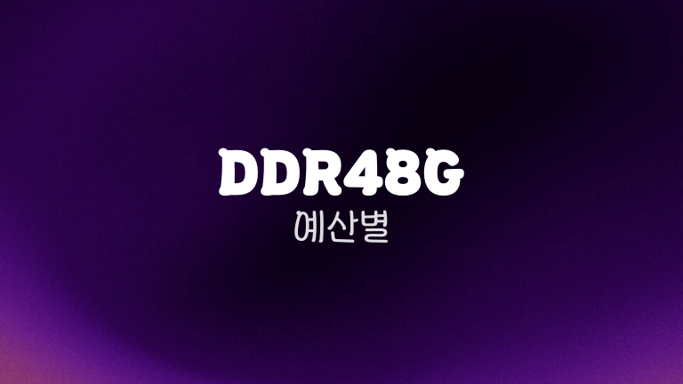 DDR48G 예산별