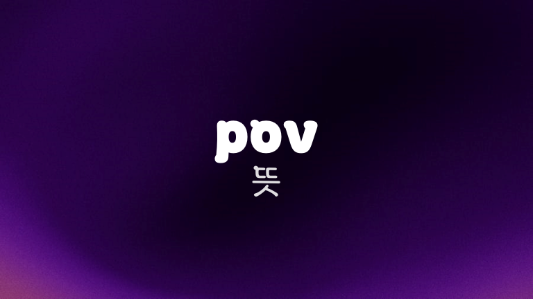 pov 뜻