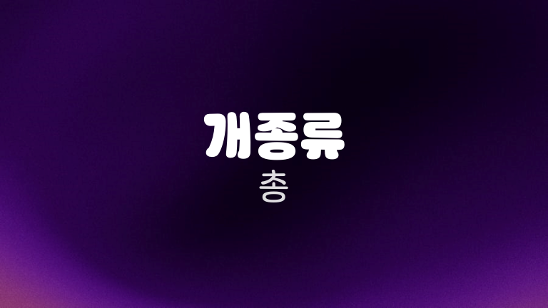 개종류 총