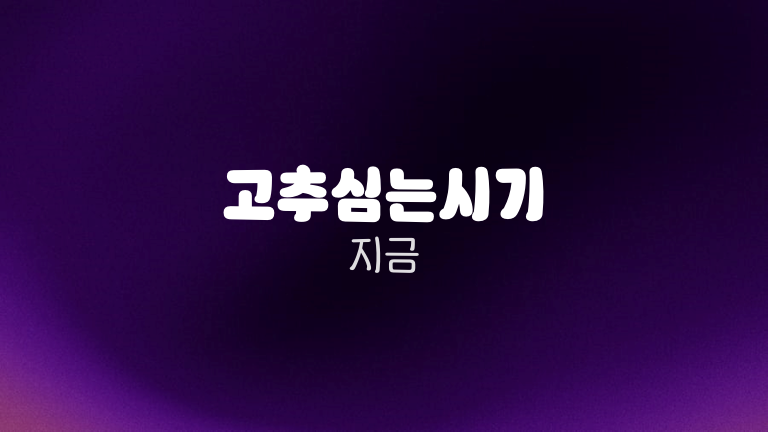 고추심는시기 지금