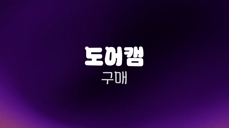 도어캠 구매