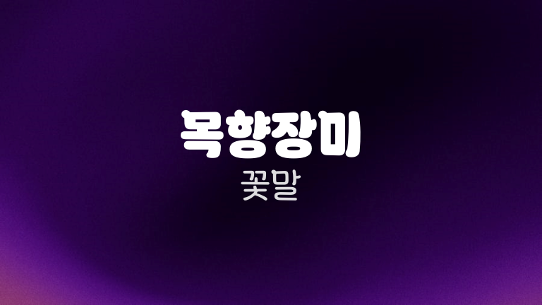 목향장미 꽃말
