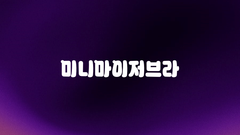 미니마이저브라