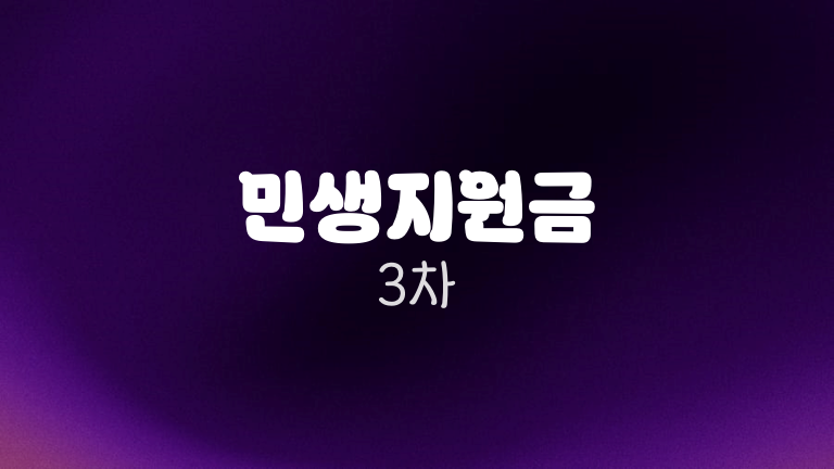 민생지원금 3차