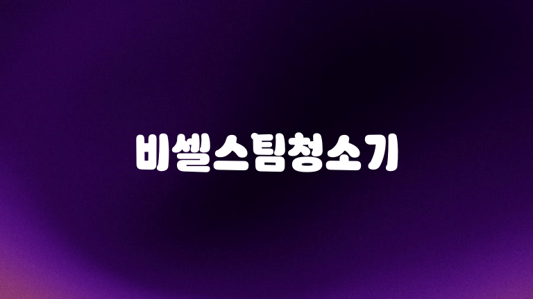 비셀스팀청소기