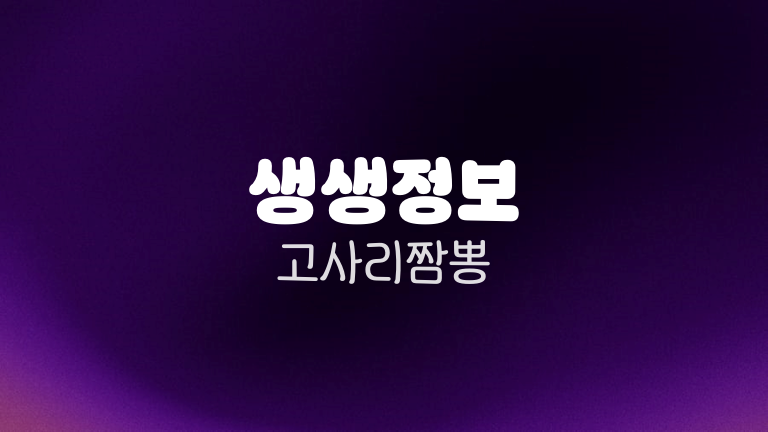생생정보 고사리짬뽕