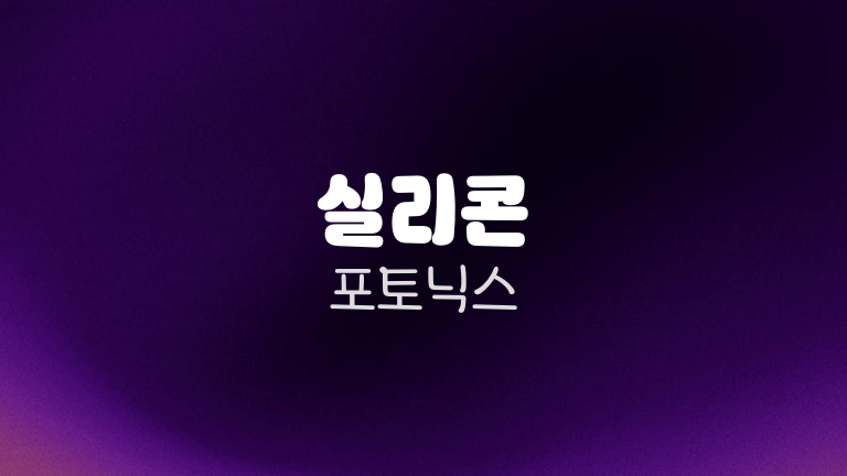 실리콘 포토닉스