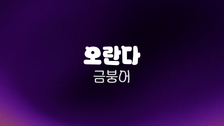 오란다 금붕어