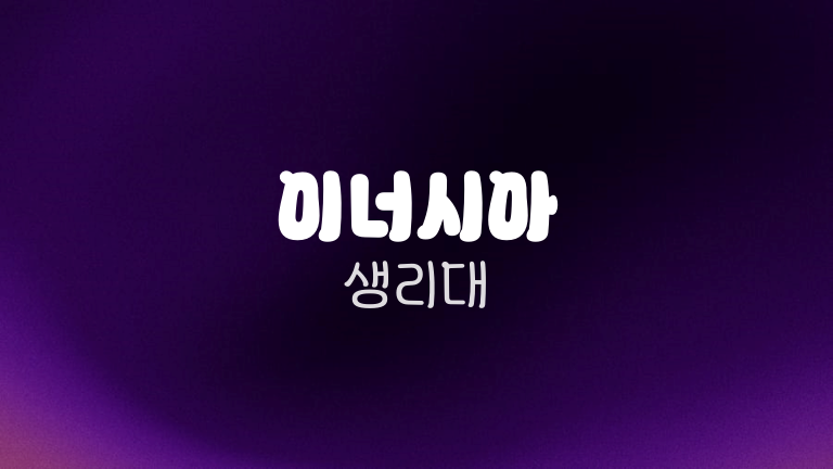 이너시아 생리대