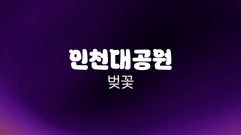 인천대공원 벚꽃