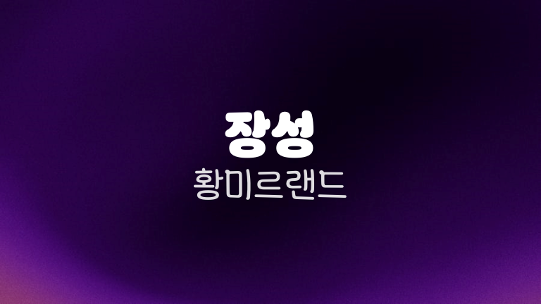 장성 황미르랜드