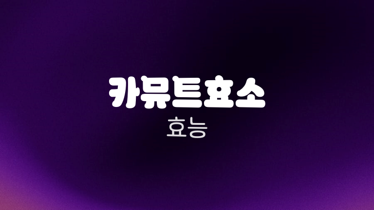 카뮤트효소 효능