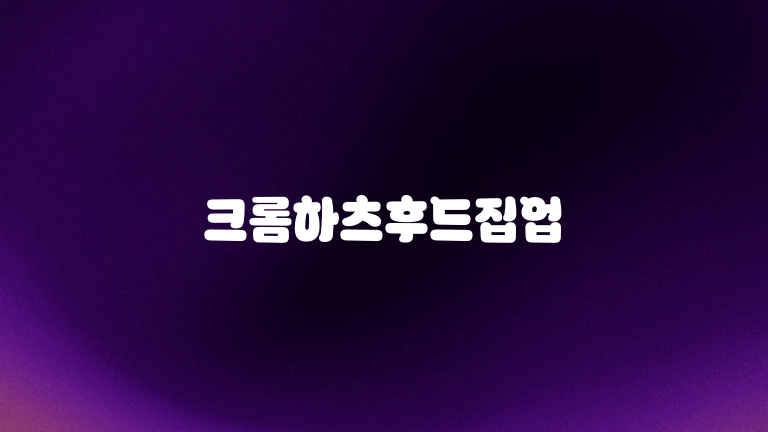 크롬하츠후드집업
