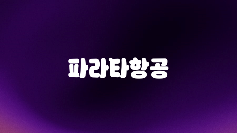 파라타항공