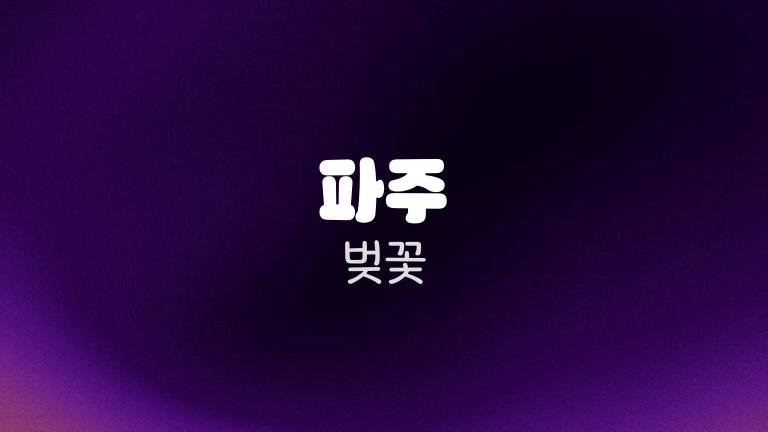 파주 벚꽃